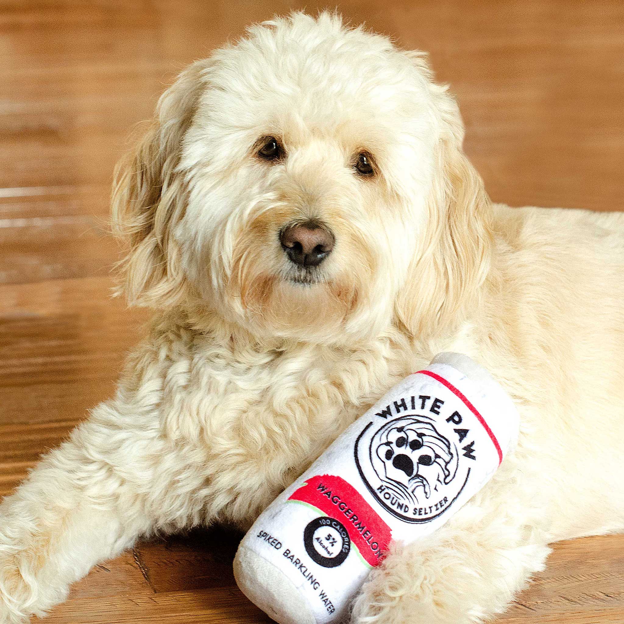 White Paw Dog Toy