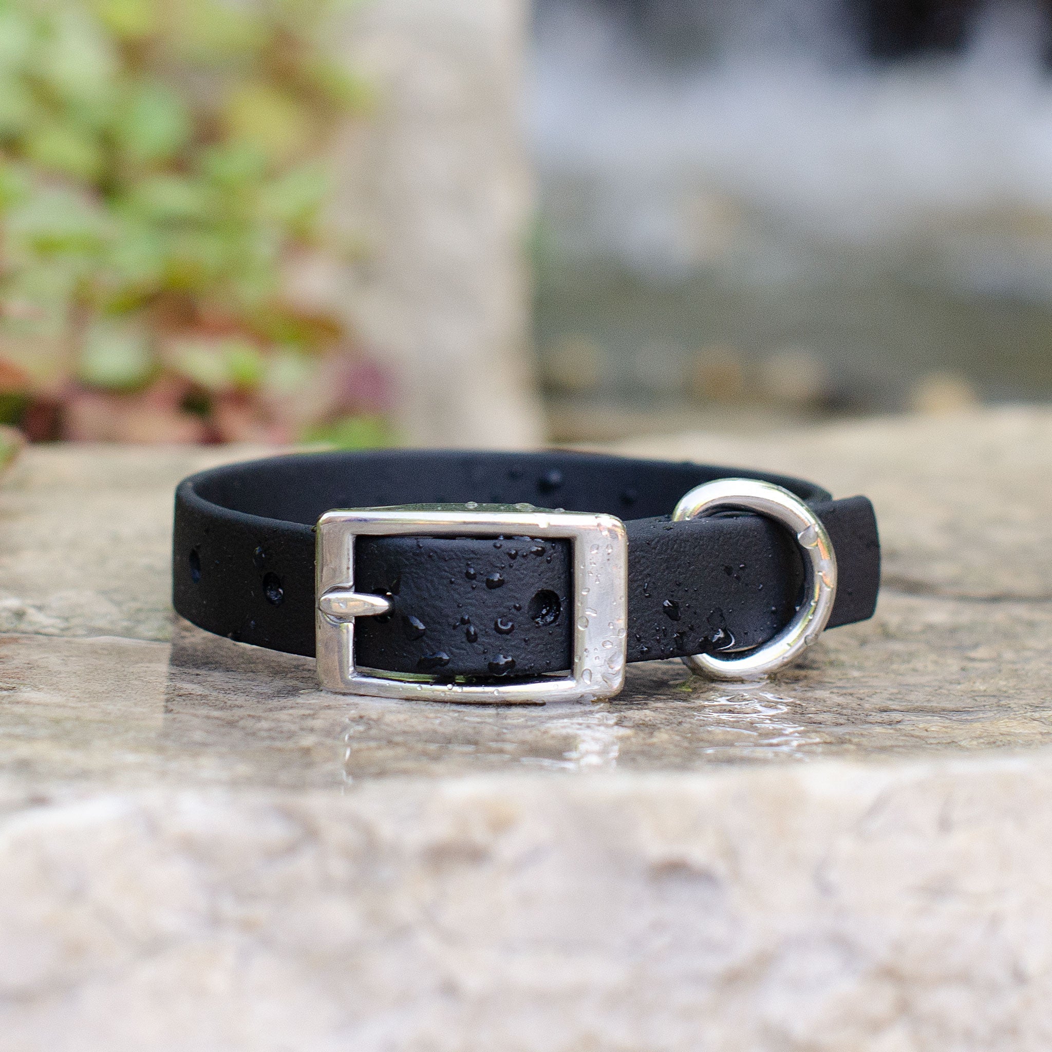 Waterproof Biothane® Collar - Black