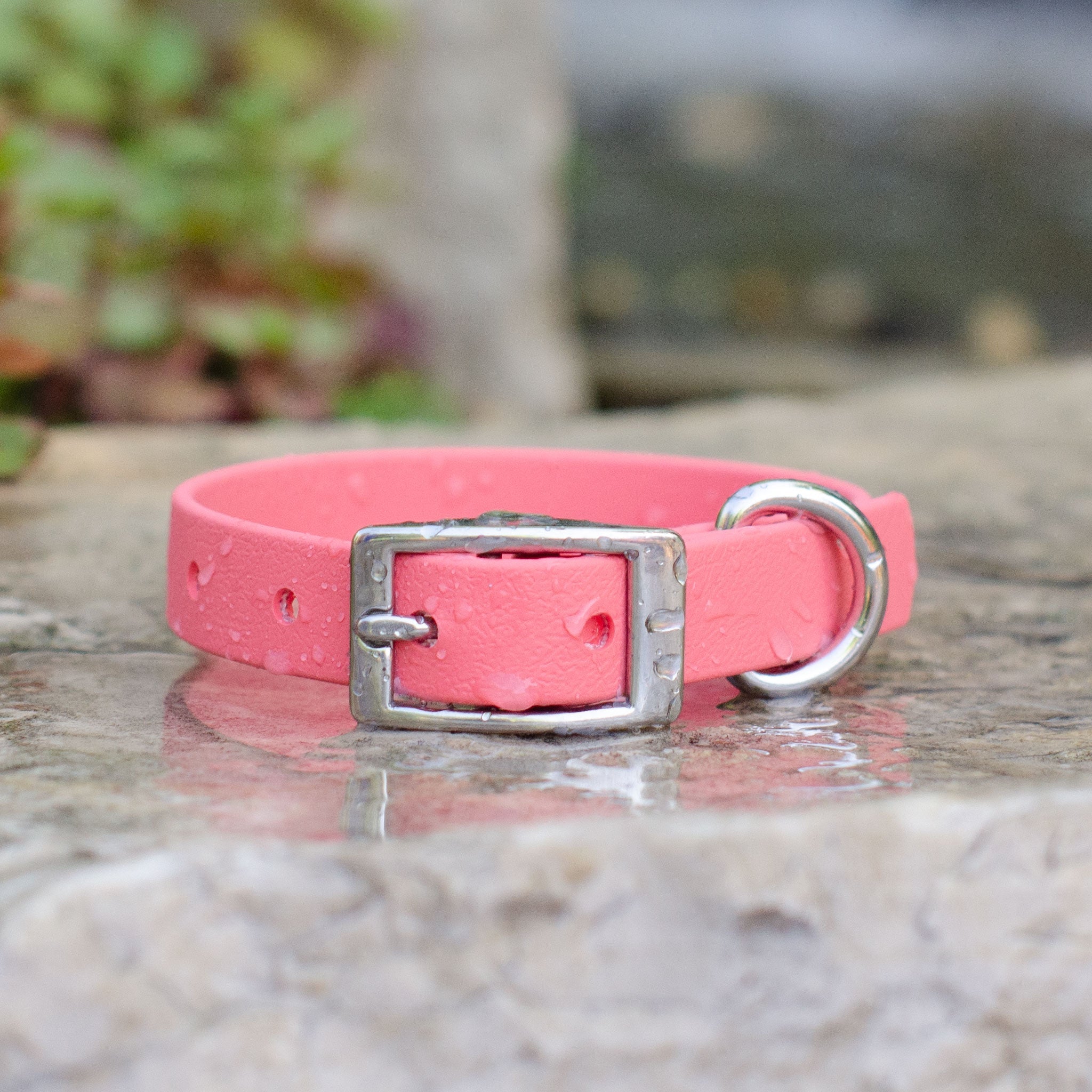 Waterproof Biothane® Collar - Coral