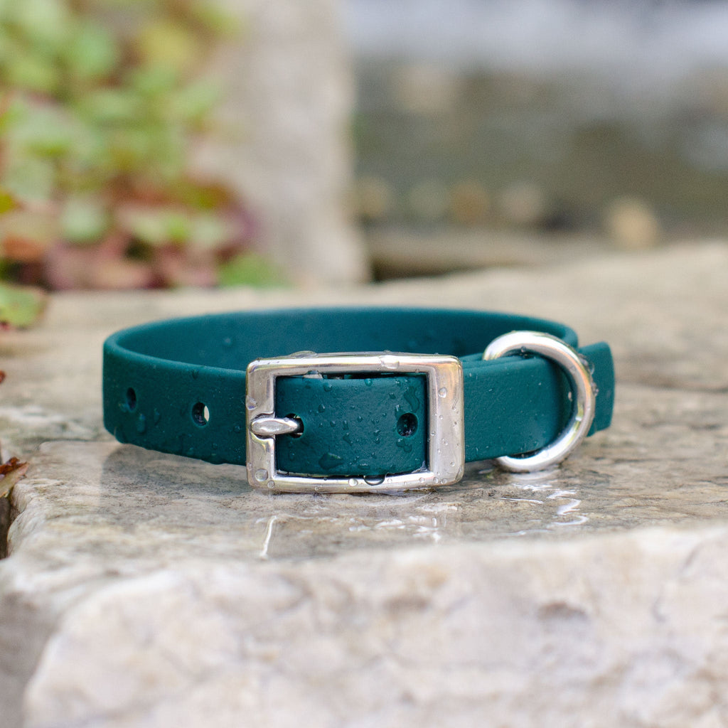Waterproof Biothane® Collar - Emerald