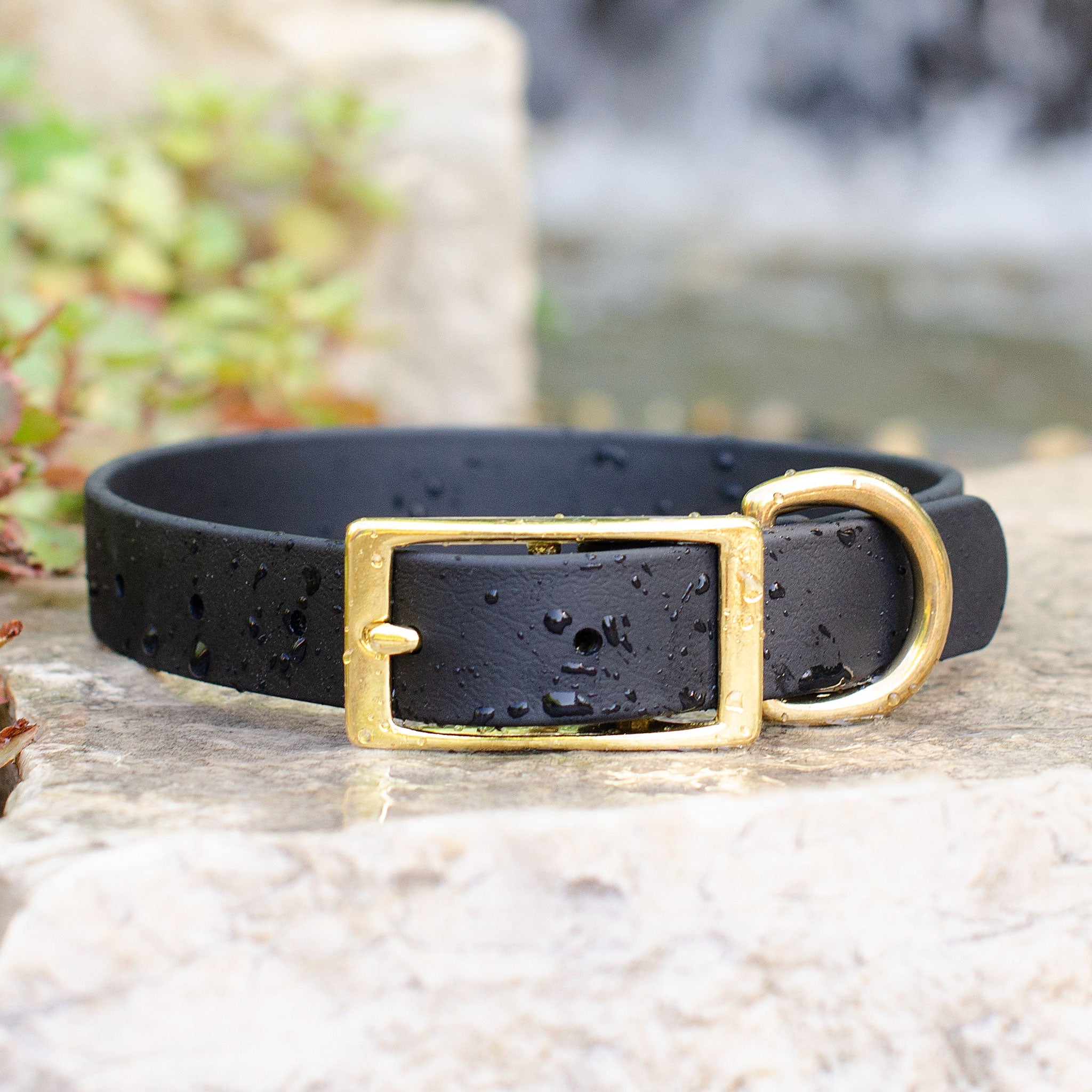 Waterproof Biothane® Collar - Black