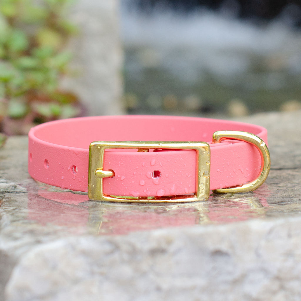 Waterproof Biothane® Collar - Coral