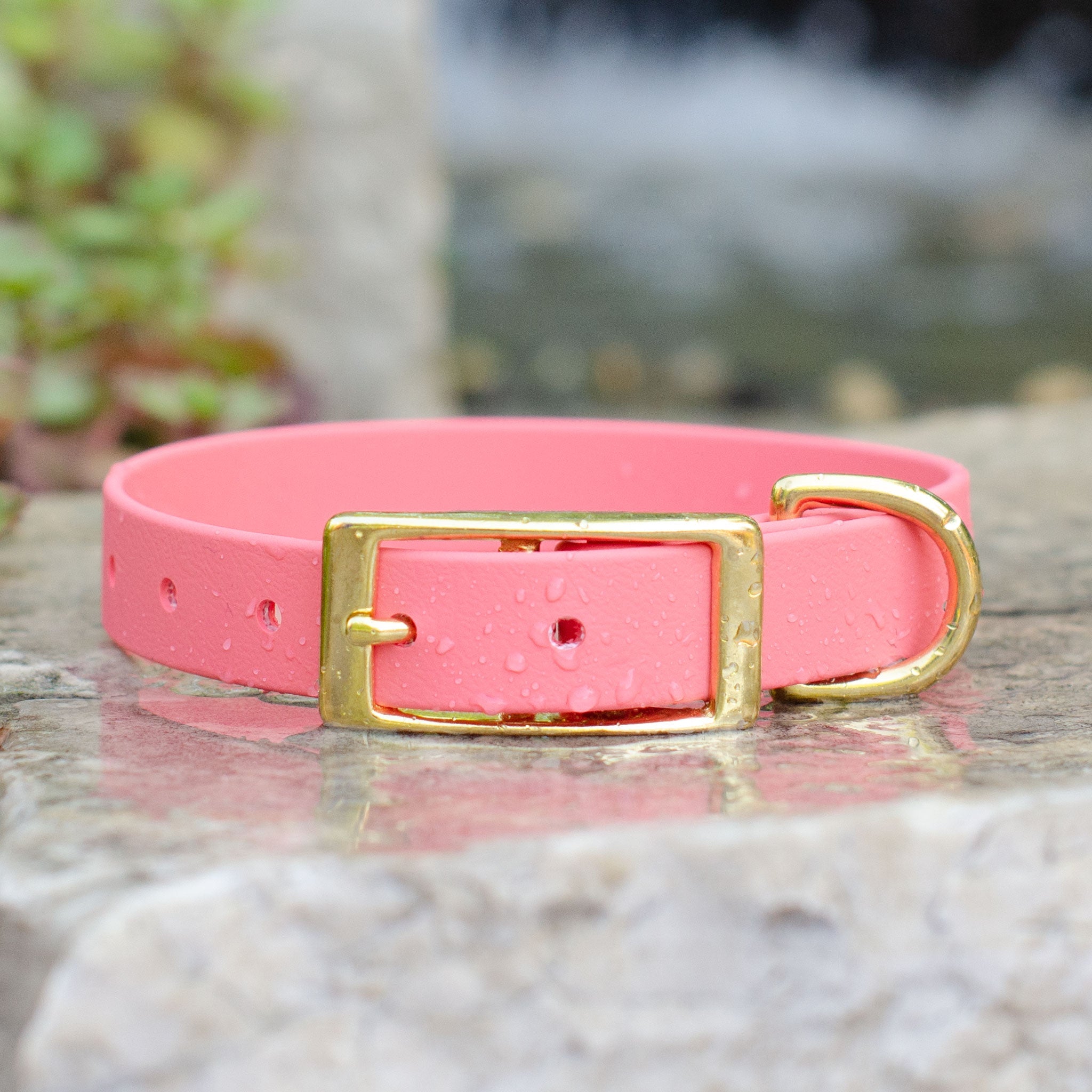 Waterproof Biothane® Collar - Coral