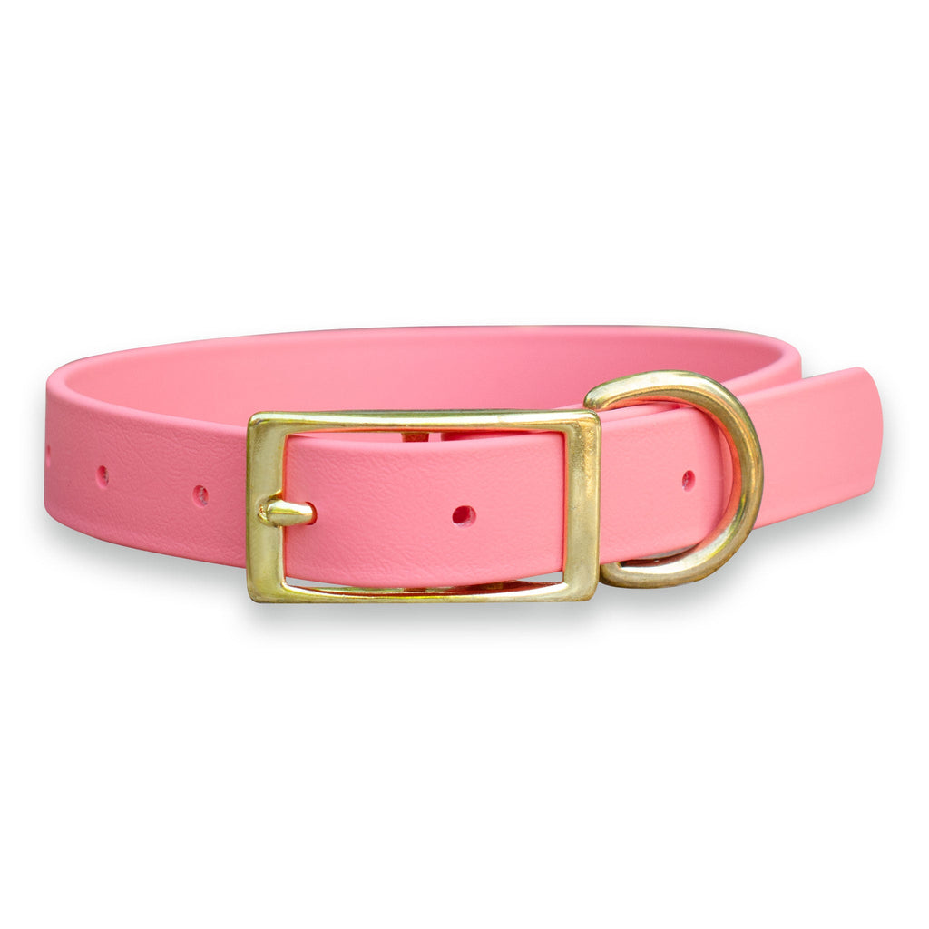 Waterproof Biothane® Collar - Coral