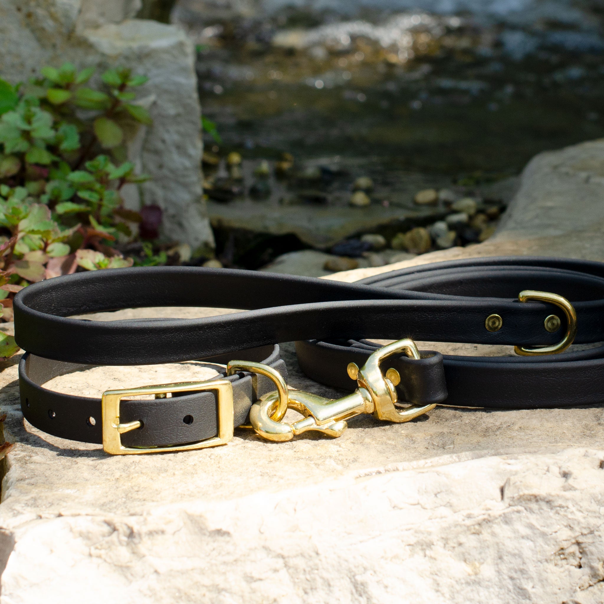 Waterproof Biothane® Collar - Black