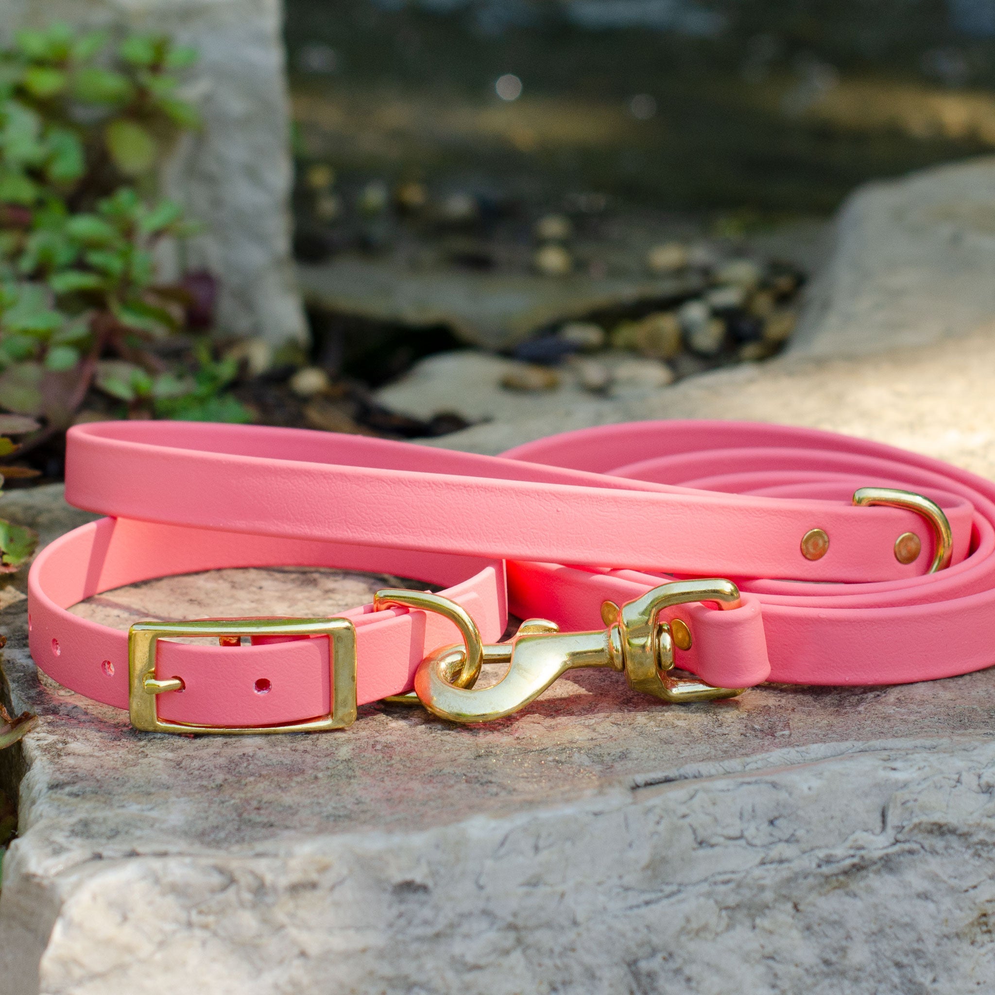 Waterproof Biothane® Collar - Coral