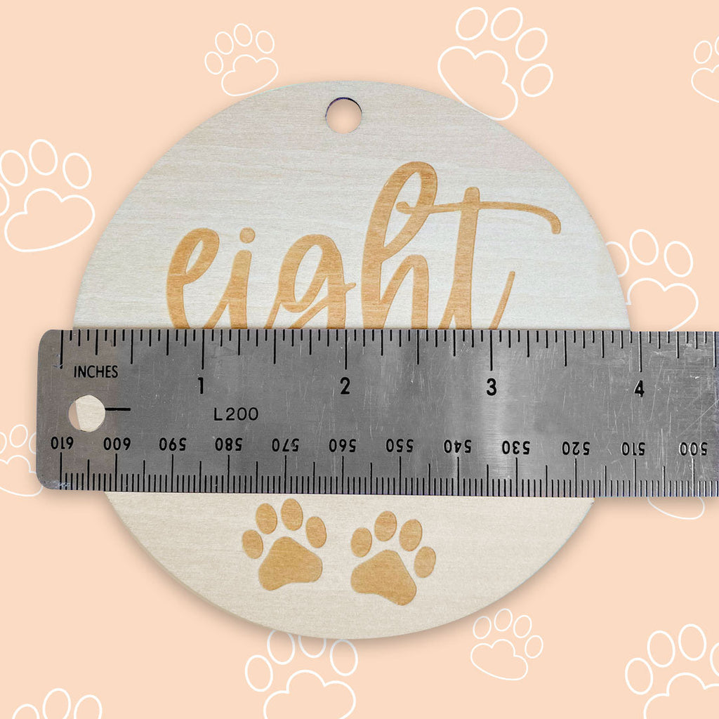 Puppy Milestones for New Puppy Parents