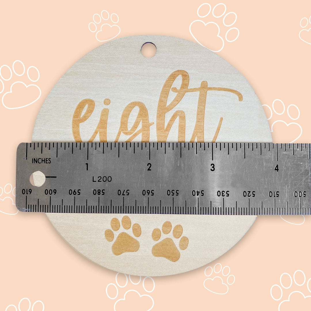 Puppy Milestones for New Puppy Parents