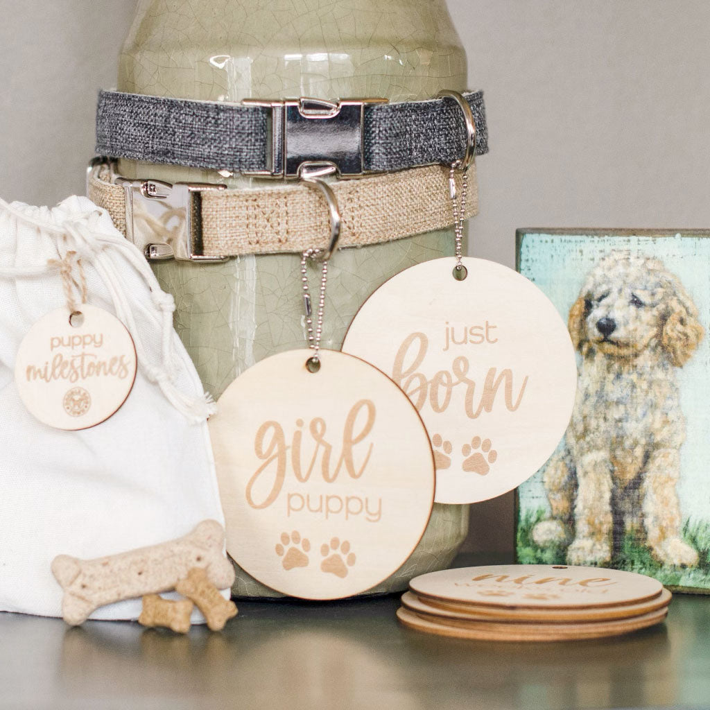 Puppy Milestones for New Puppy Parents