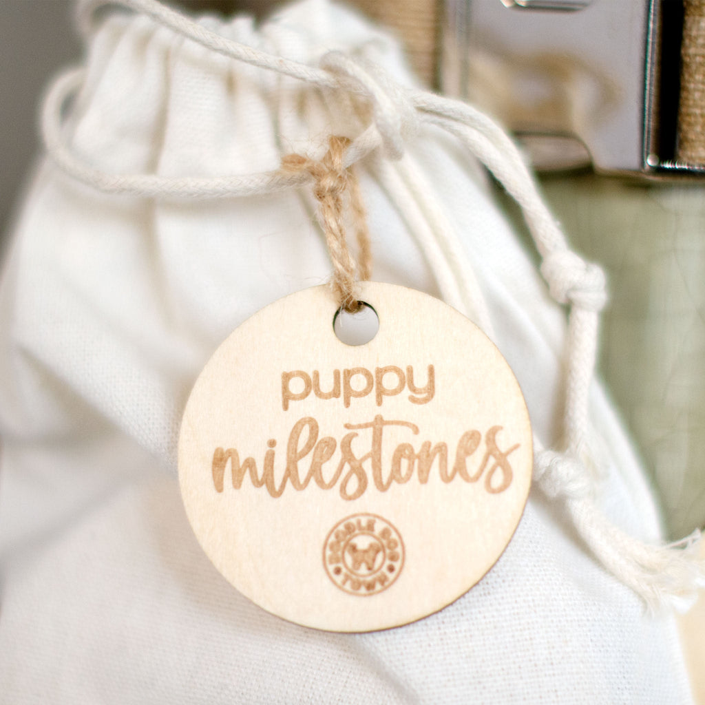 Puppy Milestones for Breeders