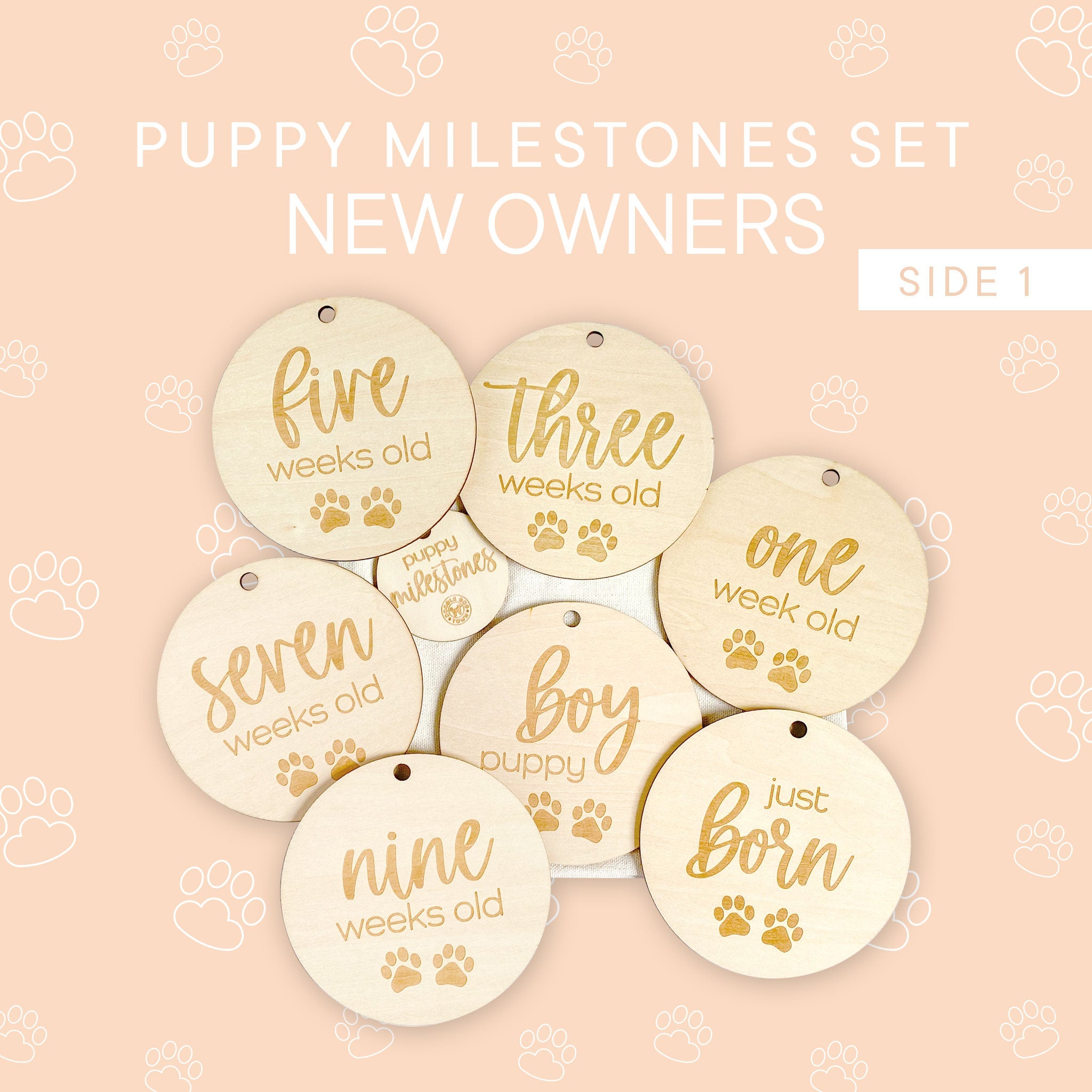 Puppy Milestones for New Puppy Parents