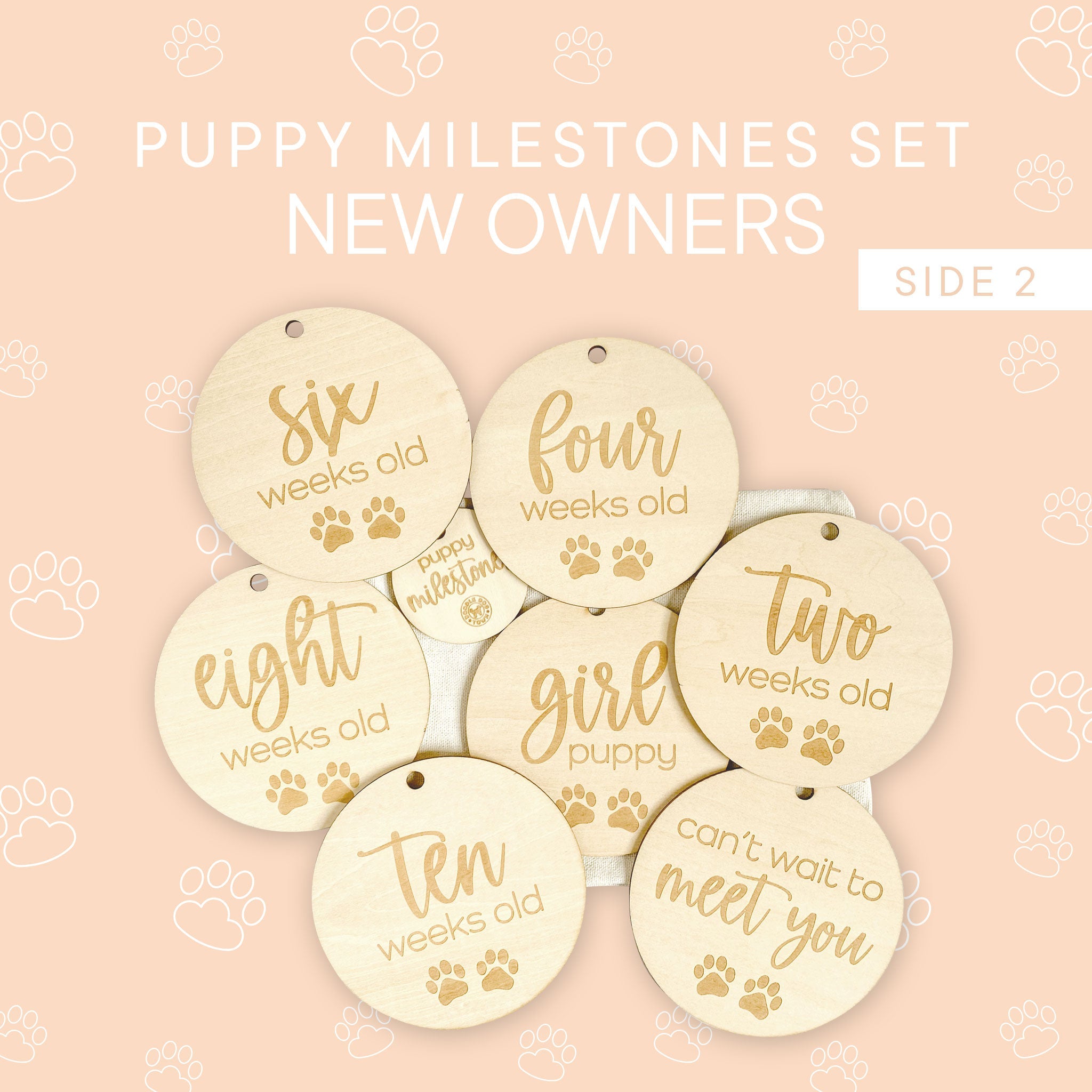 Puppy Milestones for New Puppy Parents