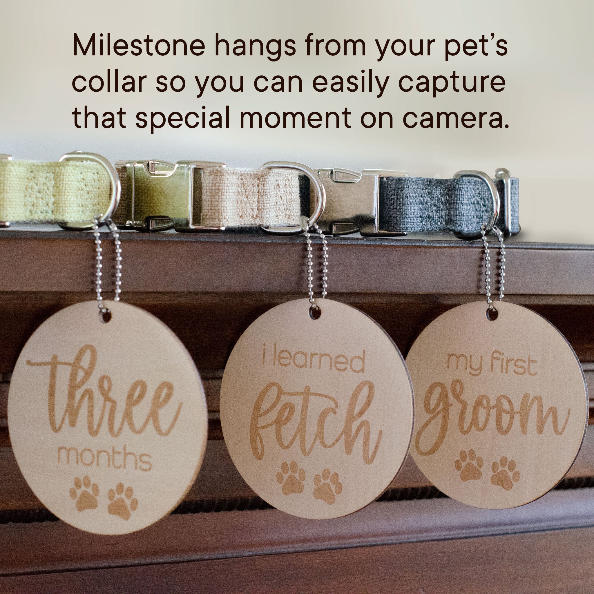 Puppy Milestones for New Puppy Parents